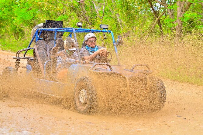 buggy-ride-into-the-jungle-with-cave-coffee-chocolate-tasting