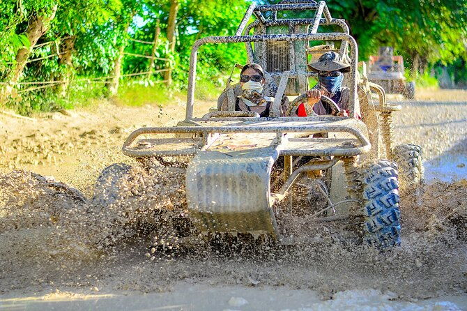 buggy-ride-with-cenote-coffee-and-chocolate-tasting