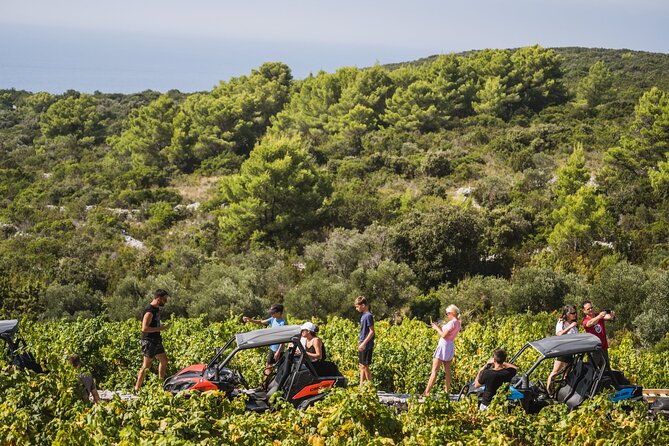 buggy-safari-with-wine-tasting-2