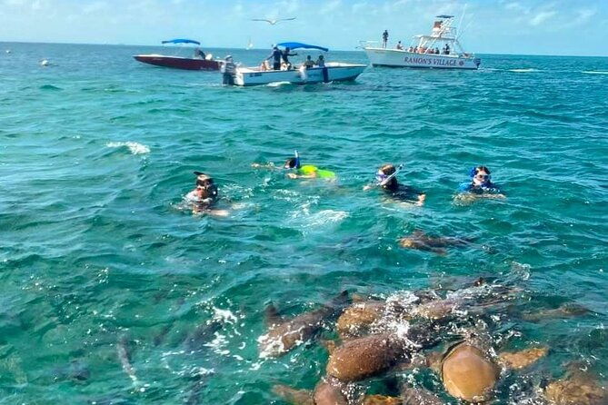 bus-transfer-from-flores-guatemala-to-belize-city