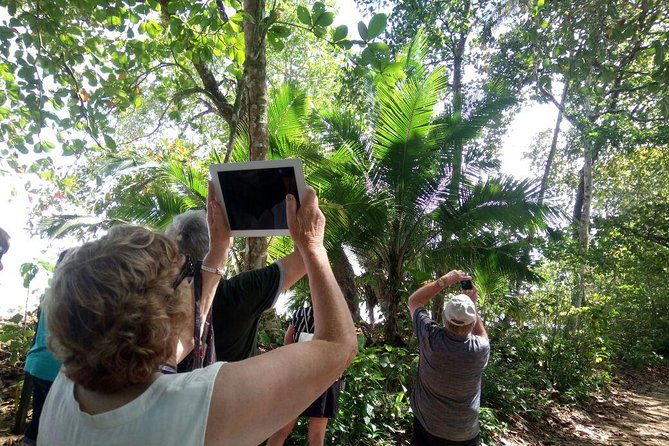 cahuita-national-park-walk-and-banana-plantation-shore-excursion-from-limon