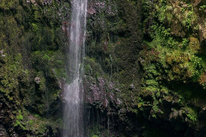 caldeirao-verde-levadas-walk-in-madeira