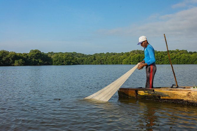 canoeing-birdwatching-on-the-mangrove-forest-in-la-virgen-lake