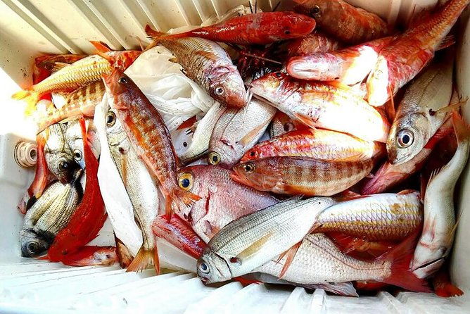 capri-fishing-excursion-with-snorkeling-and-lunch-from-sorrento
