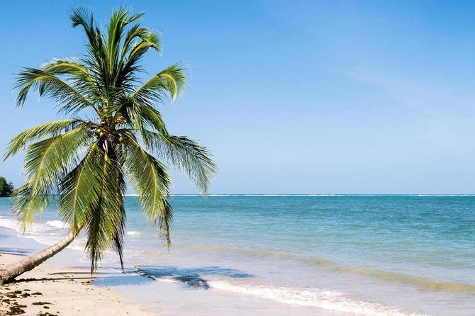 caribbean-costa-rica-5-day-tour-with-tortuguero-national-park-and-puerto-viejo