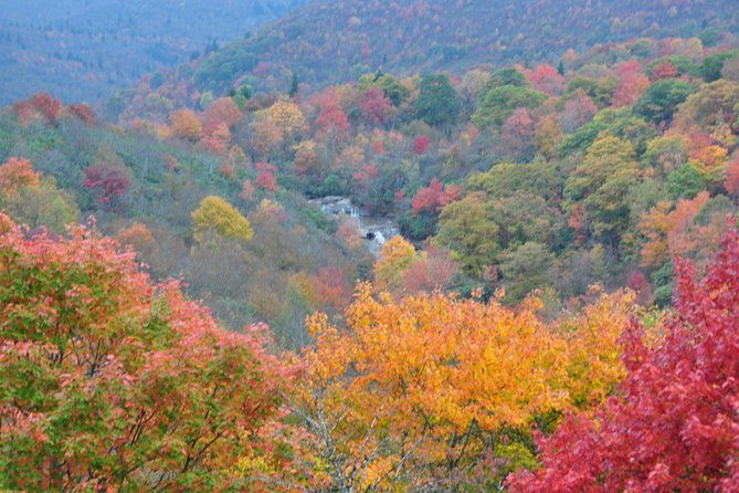 carolina-waterfalls-and-highlands-private-vip-boutique-tour