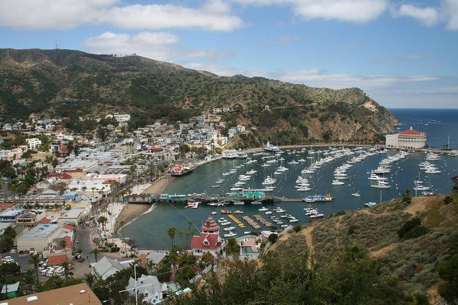 catalina-island-day-trip-from-anaheim-hotels-with-discover-avalon-tour