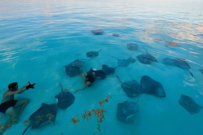 cayman-private-luxury-charters-stingray-city-snorkel-more