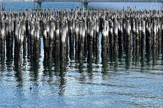 central-coastal-maine-private-day-tour-2
