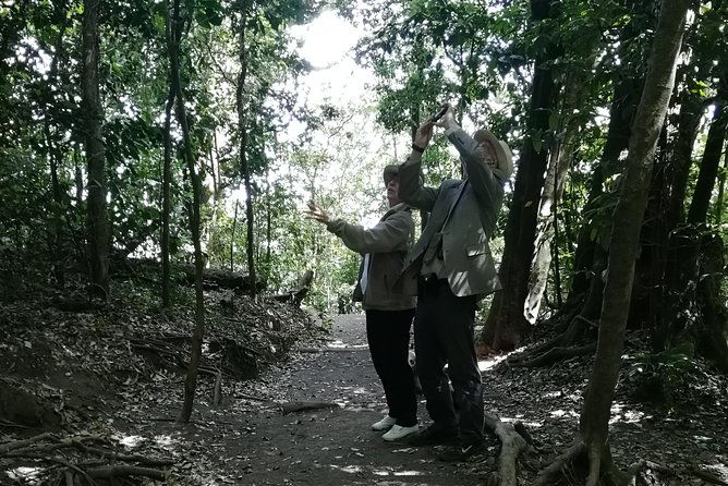 cerro-verde-national-park-and-coatepeque-lake