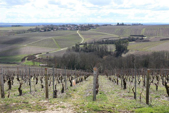 chablis-northern-burgundy-wine-tour-2