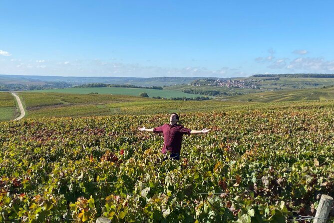 champagne-cellars-vineyards-tour-from-reims-full-day