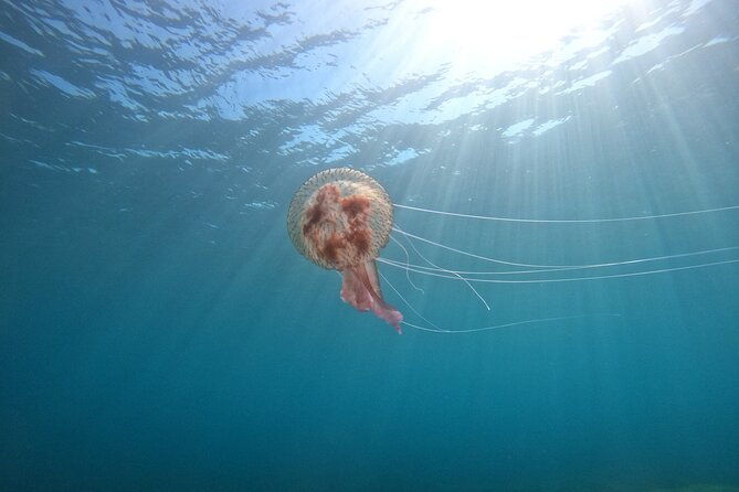 chania-guided-snorkeling-and-boat-excursion-2