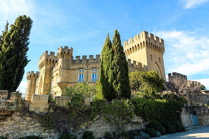chateauneuf-du-pape-intensive-vineyard-fine-wine-experience-2