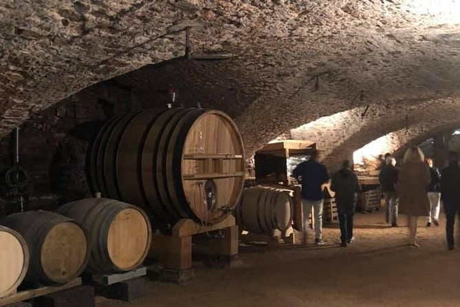 cheese-and-wine-accord-tour-at-chateau-de-champ-renard-2