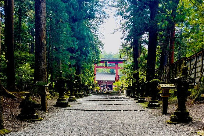 cherry-blossom-mount-fuji-customizable-luxury-vehicle-guided-tour