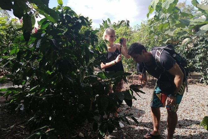 chocolate-and-coffee-tour