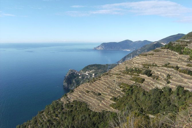 cinque-terre-shore-excursions-from-livorno-port