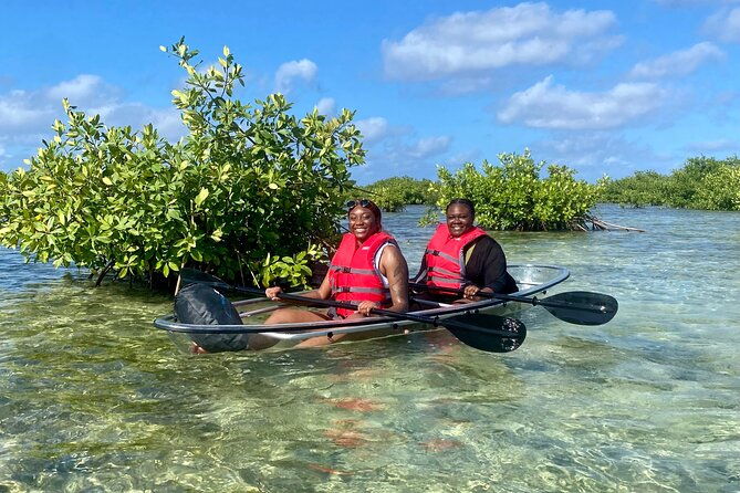clear-kayak-mangrove-eco-tour-2