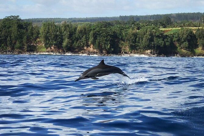 cliffs-of-hawaii-onomea-waterfall-afternoon-cruise