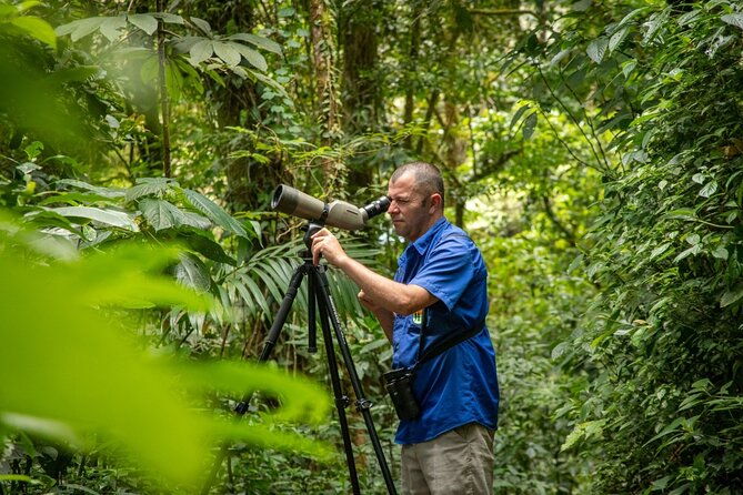 cloud-forest-adventure-hike-the-mystical-canopy