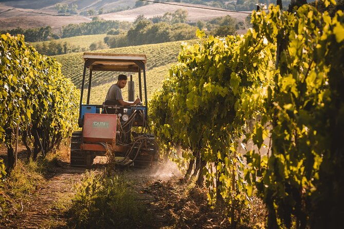 club-brunello-private-tasting-with-lunch-in-a-castle-winery