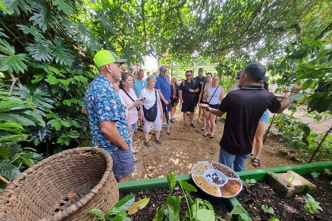 coffe-tour-and-chorotega-cultural-experience-on-the-blue-zone