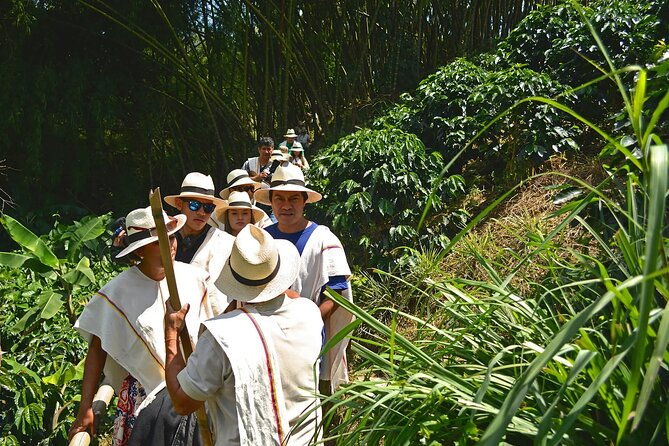 coffee-farm-and-santa-rosa-hot-springs-tour-from-pereira-or-armenia