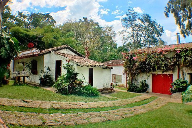 coffee-farm-experience-private-day-tour