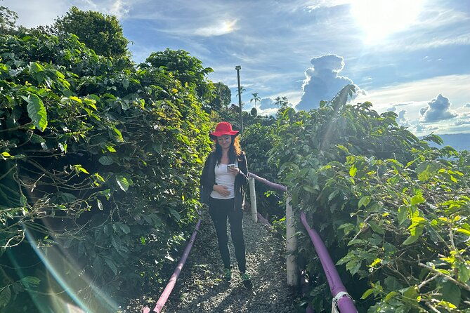 coffee-region-andes-mountains-coffee-tour-pijao-buenavista
