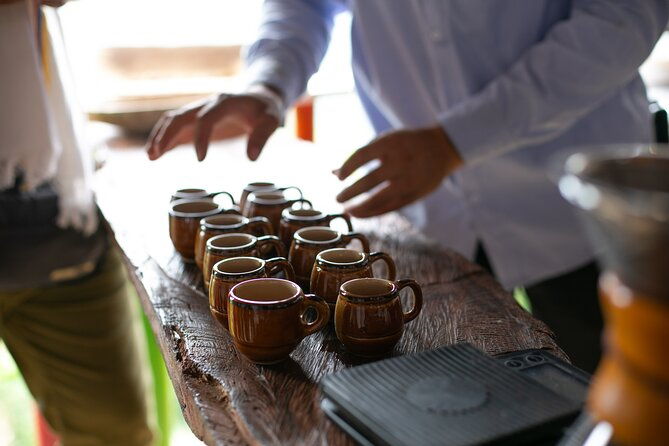 coffee-tour-with-arrival-on-horseback-and-sugar-cane-processing