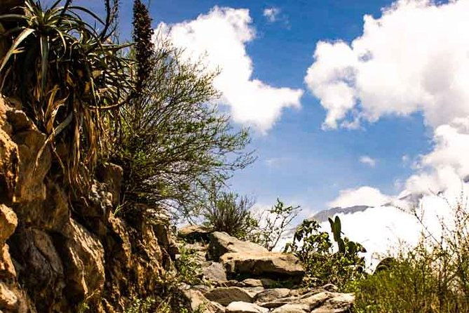 colca-canyon-trek-3-day-2-night