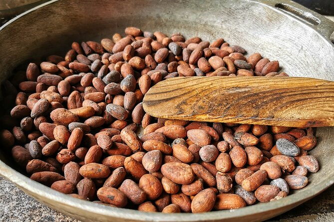 combo-3-manuel-antonio-park-tour-chocolate-tour
