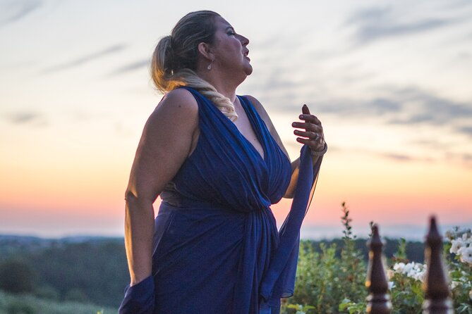 cooking-dinner-live-opera-in-the-countryside