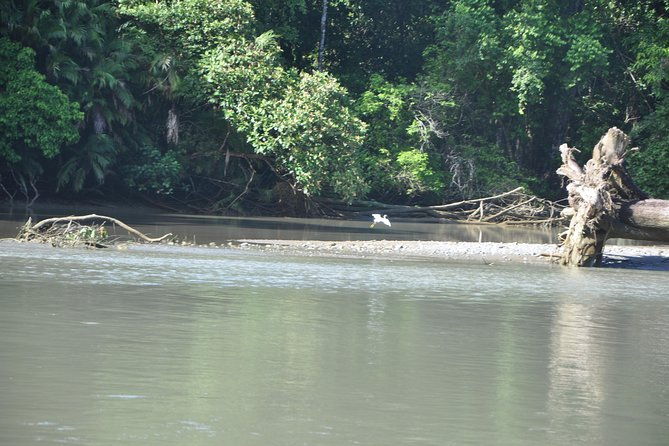 corcovado-sirena-over-night-tour