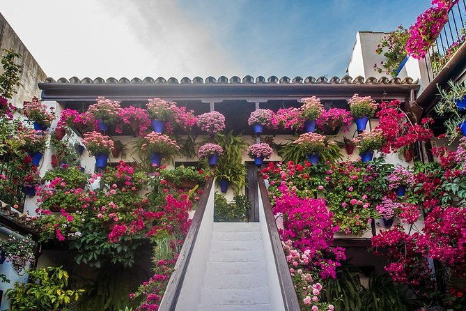 cordobas-authentic-patios-2-hour-tour-with-tickets-2
