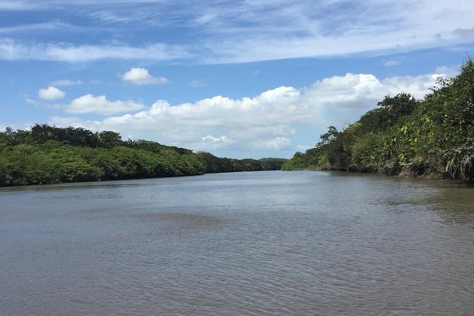 costa-rican-wildlife-palo-verde-national-park-private-tour