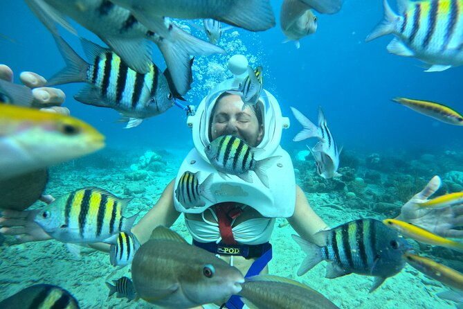 curacao-guided-underwater-walking-tour-no-swimming-skills-needed