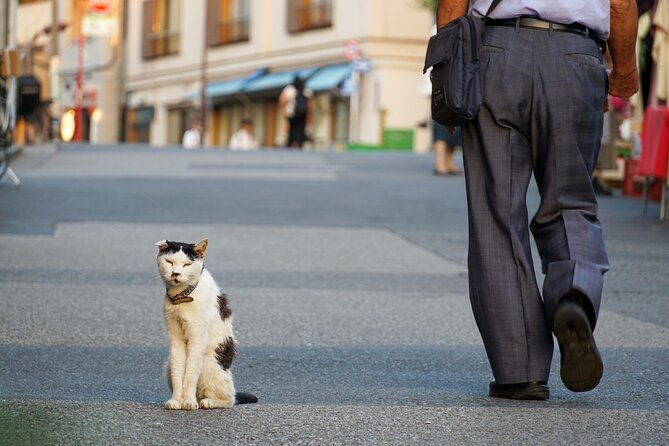 customized-private-walking-tour-of-yanaka-in-tokyo-nostalgia