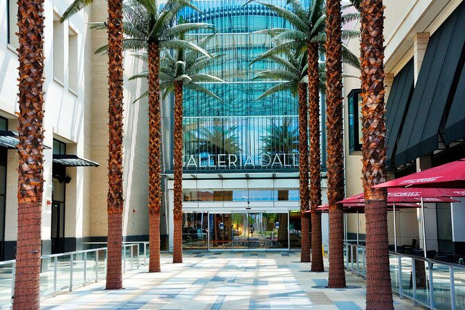 dallas-best-of-shopping-malls-in-the-luxury-private-limousine