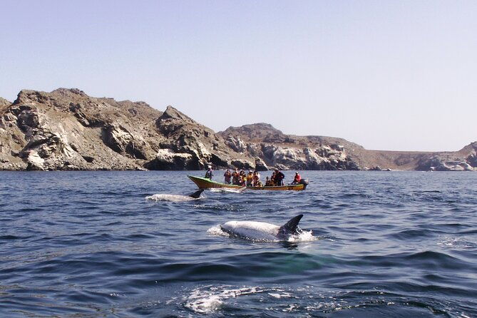 dama-island-or-chanaral-navigation-tour-humboldt-penguin-reserve
