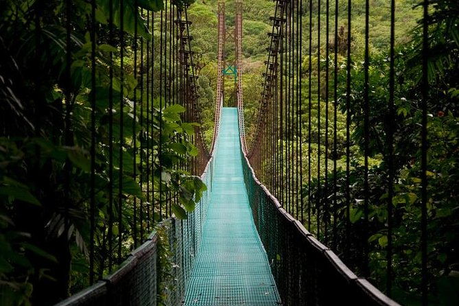 day-trip-from-san-jose-to-arenal-hanging-bridges-baldi-hot-springs-resort