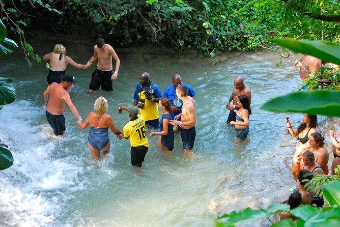 day-trip-to-bob-marleys-nine-mile-and-dunns-river-falls-from-falmouth