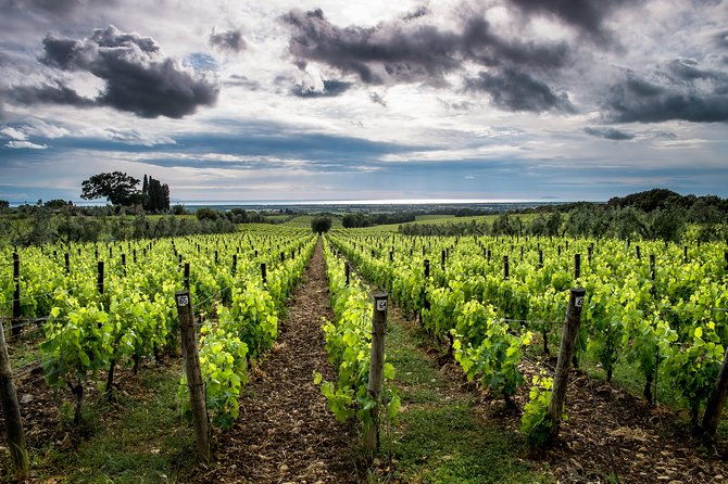 delightful-tuscany-wine-experience-in-charming-places