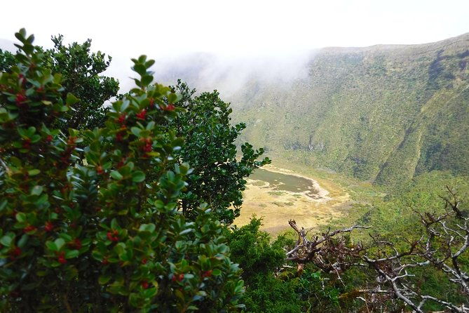 descent-to-caldeira-do-faial-the-perfect-adventure