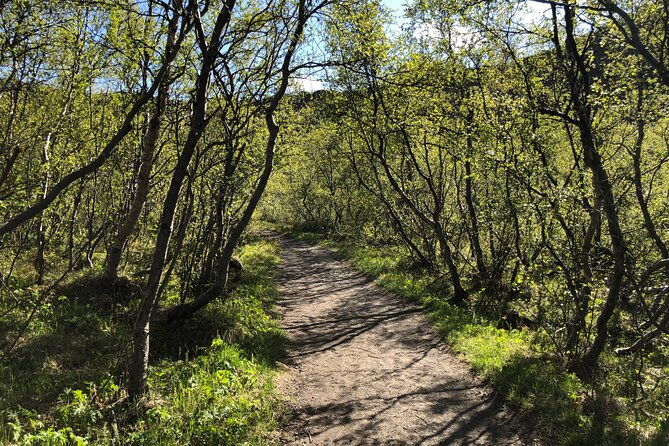 diamond-circle-day-tour-from-akureyri-2