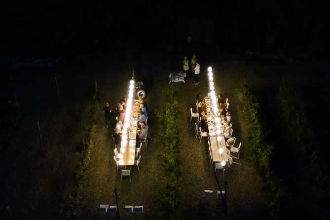 dinner-in-the-vineyards-2