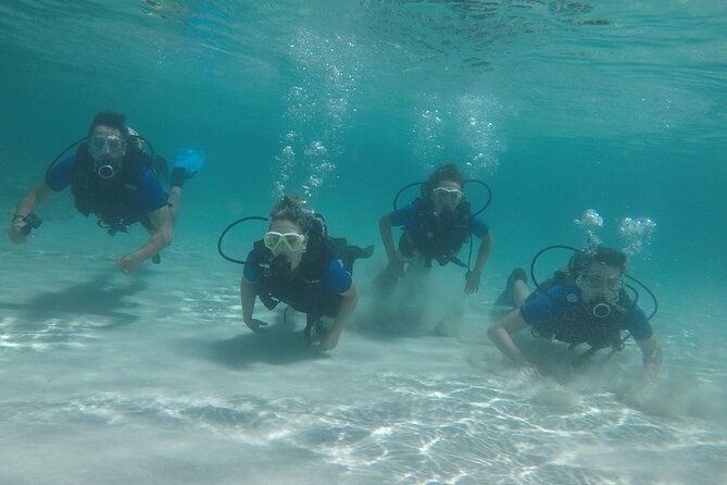 discover-scuba-diving-4
