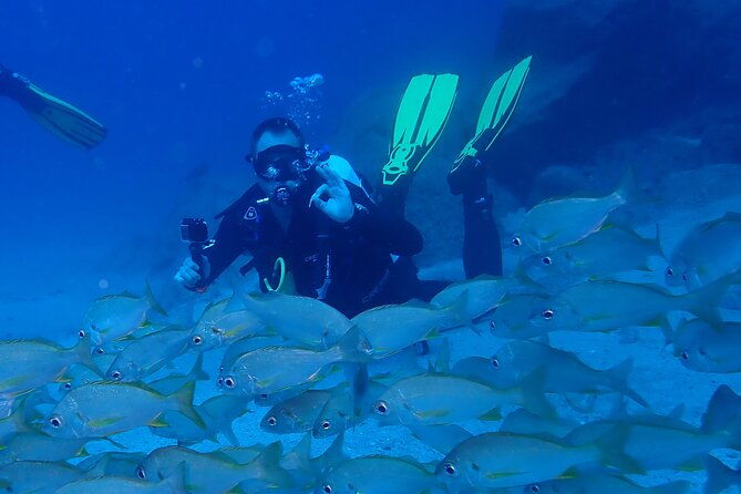 discover-scuba-diving-tenerife-photos-and-videos-included