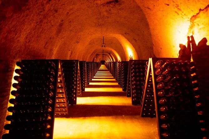 discover-the-cellars-in-the-heart-of-the-countryside-in-champagne